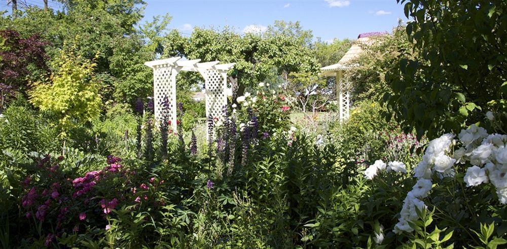 Hartley Homestead Boutique Bed & Breakfast Clyde Eksteriør billede