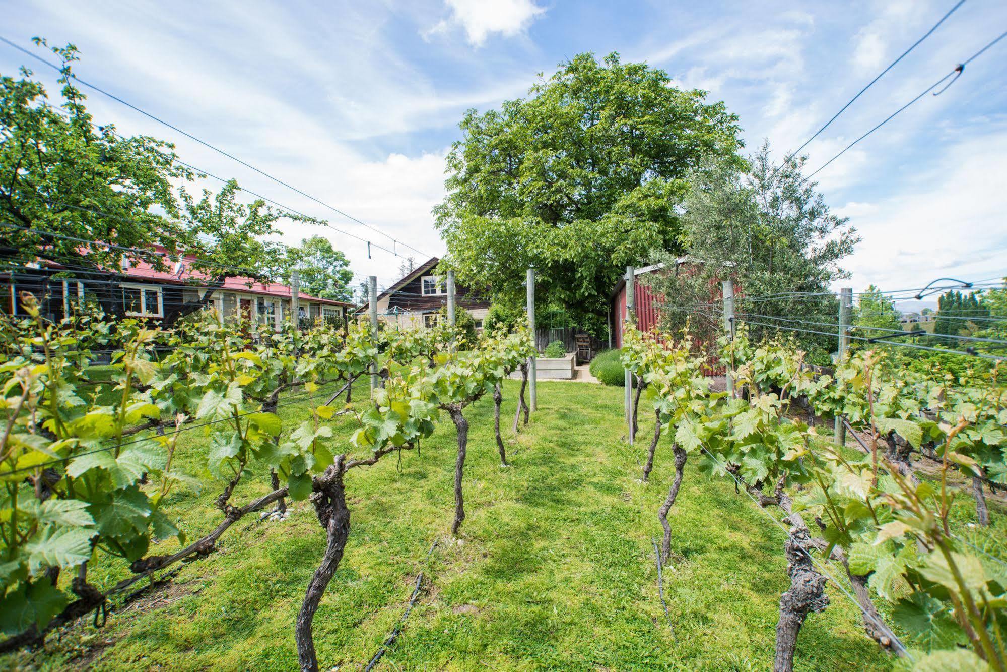 Hartley Homestead Boutique Bed & Breakfast Clyde Eksteriør billede